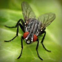 /album/asociatiaumanitara/photolia-a01-jpg/