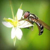 /album/asociatiaumanitara/photolia-a02-jpg/