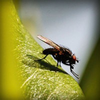 /album/asociatiaumanitara/photolia-a04-jpg/