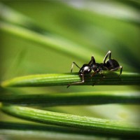 /album/asociatiaumanitara/photolia-a05-jpg/