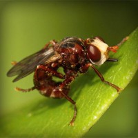 /album/asociatiaumanitara/photolia-a06-jpg/