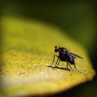 /album/asociatiaumanitara/photolia-a07-jpg/