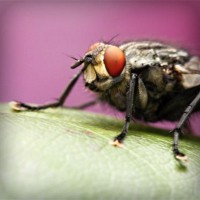 /album/asociatiaumanitara/photolia-a08-jpg/